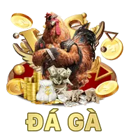 Đá gà vv88win