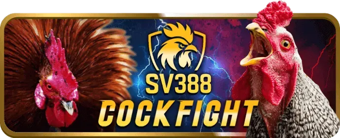 Sân quần vợt với lưới và vợt, minh họa cho cá cược quần vợt vv88win